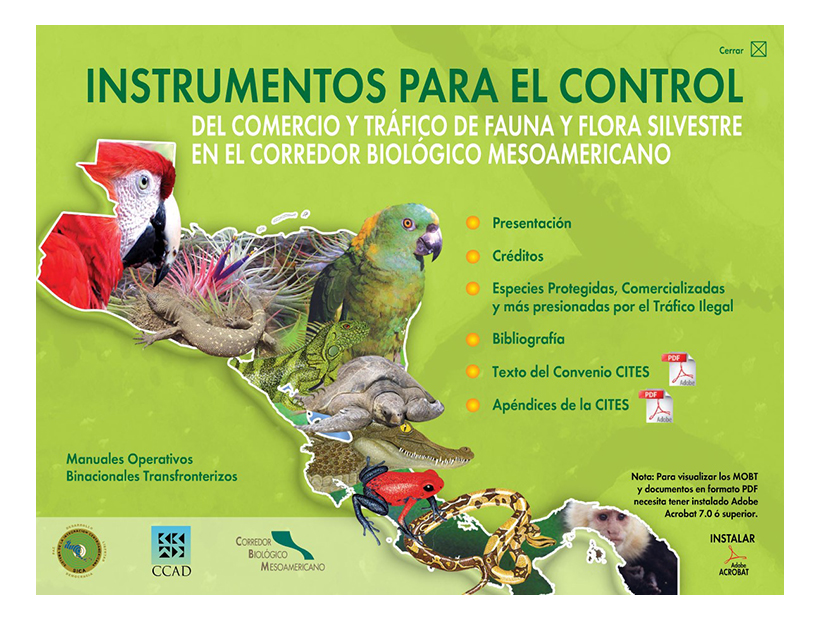 Intrumentos para el control